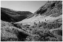 Hikers, Lobo Canyon, Santa Rosa Island. Channel Islands National Park ( black and white)
