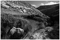 Year-round stream, Lobo Canyon, Santa Rosa Island. Channel Islands National Park ( black and white)