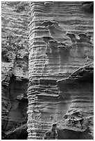 Water-sculptured sandstone wall, Lobo Canyon, Santa Rosa Island. Channel Islands National Park ( black and white)