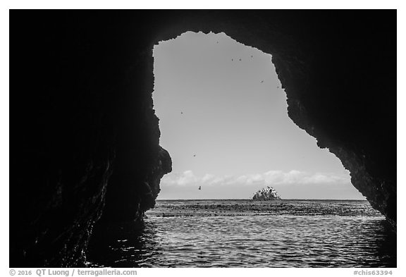 Rock and birds framed by sea cave, Santa Cruz Island. Channel Islands National Park (black and white)