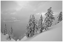 Snow-covered trees and misty lake at sunset. Crater Lake National Park ( black and white)