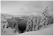 Wizard Island and Lake at dusk, framed by snow-covered trees. Crater Lake National Park (black and white)