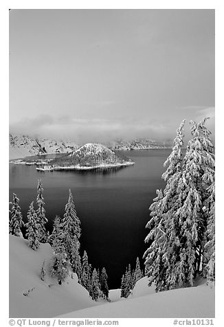Wizard Island and Lake at dusk, framed by snow-covered trees. Crater Lake National Park (black and white)