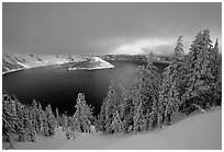 Trees, Lake and Wizard Island, cloudy winter sunrise. Crater Lake National Park (black and white)