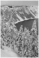 Trees and Lake rim in winter. Crater Lake National Park, Oregon, USA. (black and white)