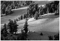 Volcanic hills and pine trees. Crater Lake National Park, Oregon, USA. (black and white)
