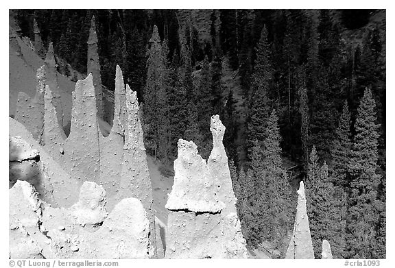 The Pinnacles. Crater Lake National Park (black and white)