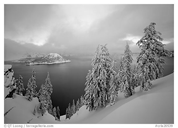 Snowy trees and lake with low clouds colored by sunset. Crater Lake National Park, Oregon, USA.