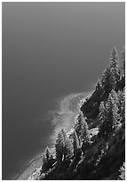 Pine trees and blue waters. Crater Lake National Park, Oregon, USA. (black and white)