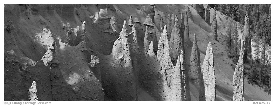 Cluster of volcanic columns. Crater Lake National Park (black and white)