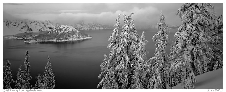Snowy trees, lake, and Wizard Island. Crater Lake National Park (black and white)