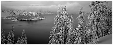 Snowy trees, lake, and Wizard Island. Crater Lake National Park (Panoramic black and white)