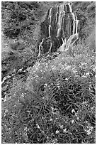 Vidae Falls and wildflowers. Crater Lake National Park, Oregon, USA. (black and white)