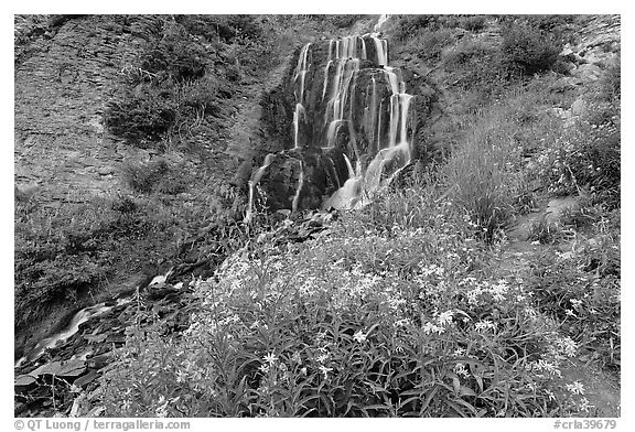 Vidae Falls and stream. Crater Lake National Park (black and white)