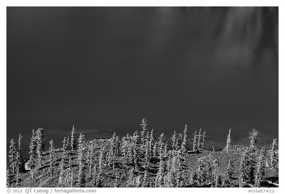 Hemlock trees on lava rocks bordering blue waters of Skell Channel, Wizard Island. Crater Lake National Park (black and white)