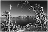 Lake and Mount Scott framed by Whitebark pines on top of Wizard Island cinder cone. Crater Lake National Park ( black and white)