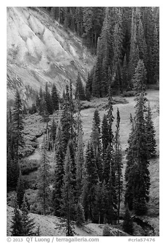 Godfrey Glen Meadow and ash cliffs. Crater Lake National Park (black and white)
