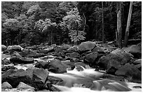 South Fork of  Kings River in autumn. Giant Sequoia National Monument, Sequoia National Forest, California, USA ( black and white)