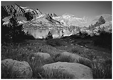 Woods lake and wildflowers, morning. Kings Canyon National Park, California, USA. (black and white)