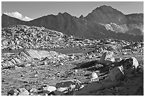 Deer, boulders, alpine lake, and mountains, Dusy Basin. Kings Canyon National Park, California, USA. (black and white)