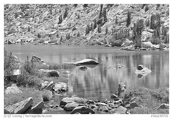 Lake and tree reflections, Lower Dusy Basin. Kings Canyon National Park (black and white)