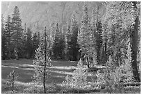 Big Pete Meadow, late afternoon, Le Conte Canyon. Kings Canyon National Park, California, USA. (black and white)