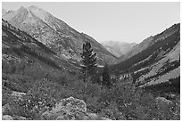 Looking south in Le Conte Canyon at dusk. Kings Canyon National Park, California, USA. (black and white)