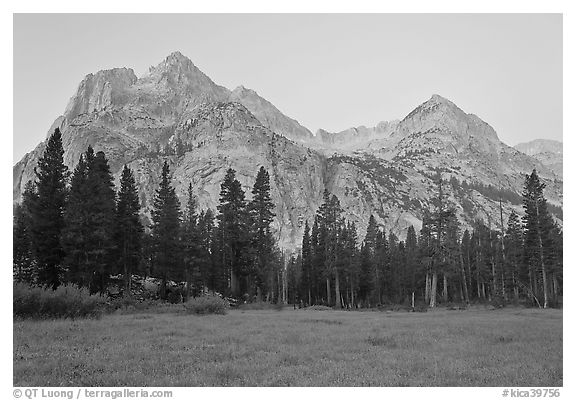 Langille Peak from Big Pete Meadow at dawn, Le Conte Canyon. Kings Canyon National Park (black and white)