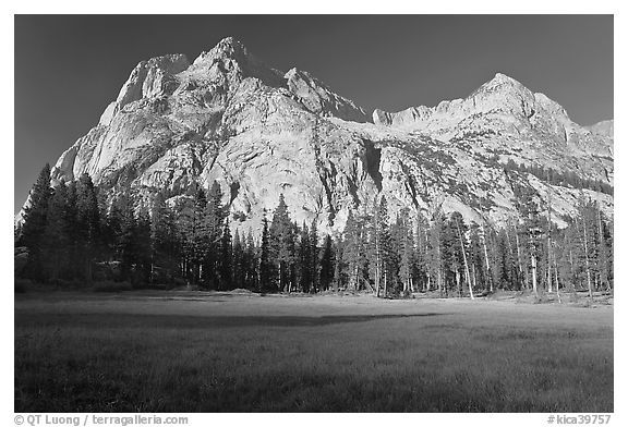 Langille Peak from Big Pete Meadow, morning, Le Conte Canyon. Kings Canyon National Park, California, USA.