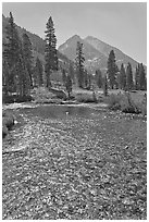 Middle Fork of  Kings River, Le Conte Canyon. Kings Canyon National Park, California, USA. (black and white)