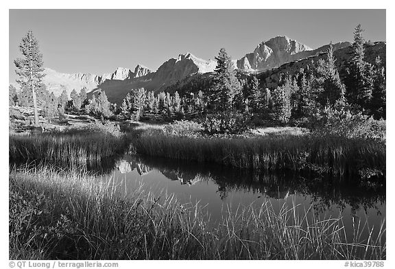 Mountains reflected in calm creek, late afternoon, Lower Dusy basin. Kings Canyon National Park, California, USA.