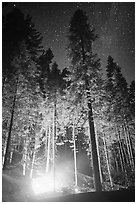 Fire amongst the sequoias, and starry sky. Kings Canyon National Park, California, USA. (black and white)