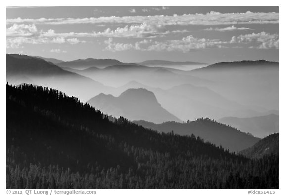 Distant sequoia forest and ridges. Kings Canyon National Park (black and white)