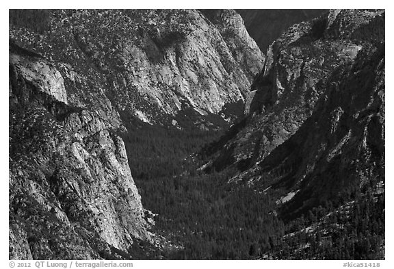 Valley carved by glaciers from above, Cedar Grove. Kings Canyon National Park, California, USA.