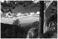 Pine and outcrops, Lookout Peak. Kings Canyon National Park, California, USA. (black and white)