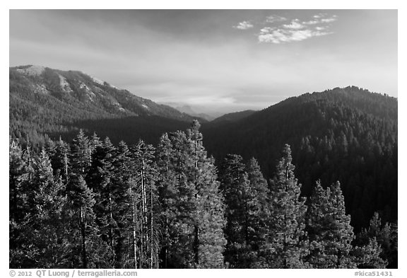 Redwood Mountain valley. Kings Canyon National Park (black and white)
