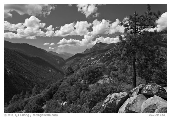 Canyon of the Kings River from Cedar Grove Overlook. Kings Canyon National Park, California, USA.