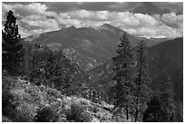 Peaks and trees from Cedar Grove rim. Kings Canyon National Park, California, USA. (black and white)