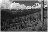 Monarch Divide. Kings Canyon National Park, California, USA. (black and white)