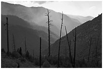 Backlit South Forks of the Kings River canyon. Kings Canyon National Park, California, USA. (black and white)