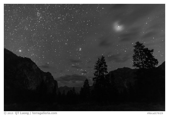 Trees and cliffs at night, Cedar Grove. Kings Canyon National Park (black and white)