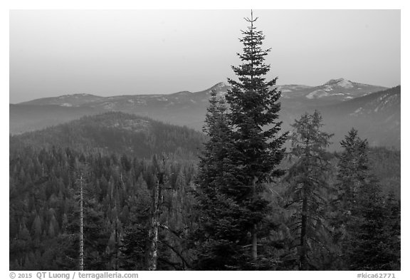 Mountains at dawn from Kings Canyon Overlook. Kings Canyon National Park (black and white)