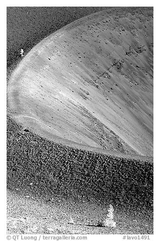 Pines and crater on top of Cinder cone, early morning. Lassen Volcanic National Park (black and white)