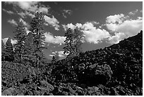Pines on Fantastic lava beds. Lassen Volcanic National Park, California, USA. (black and white)
