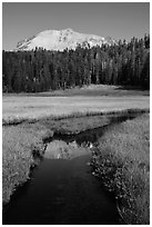 Lassen Peak reflected in Kings Creek stream. Lassen Volcanic National Park ( black and white)
