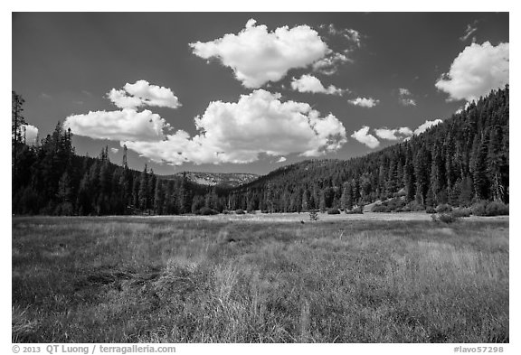 Drakesbad meadow, Warner Valley. Lassen Volcanic National Park (black and white)