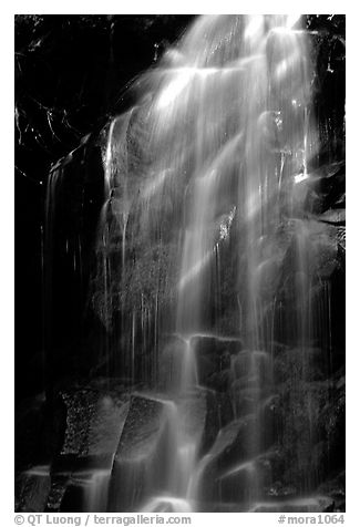 Waterfall in Carbon rainforest area. Mount Rainier National Park (black and white)