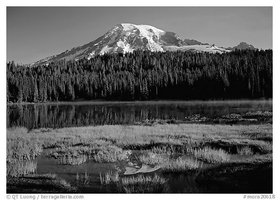Reflection Lake and Mt Rainier, early morning. Mount Rainier National Park (black and white)