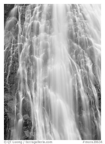 Narada falls detail. Mount Rainier National Park (black and white)