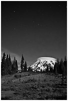 Mount Rainier and stars by night. Mount Rainier National Park, Washington, USA. (black and white)